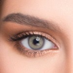 Le Reve Gray - Renkli Lens
